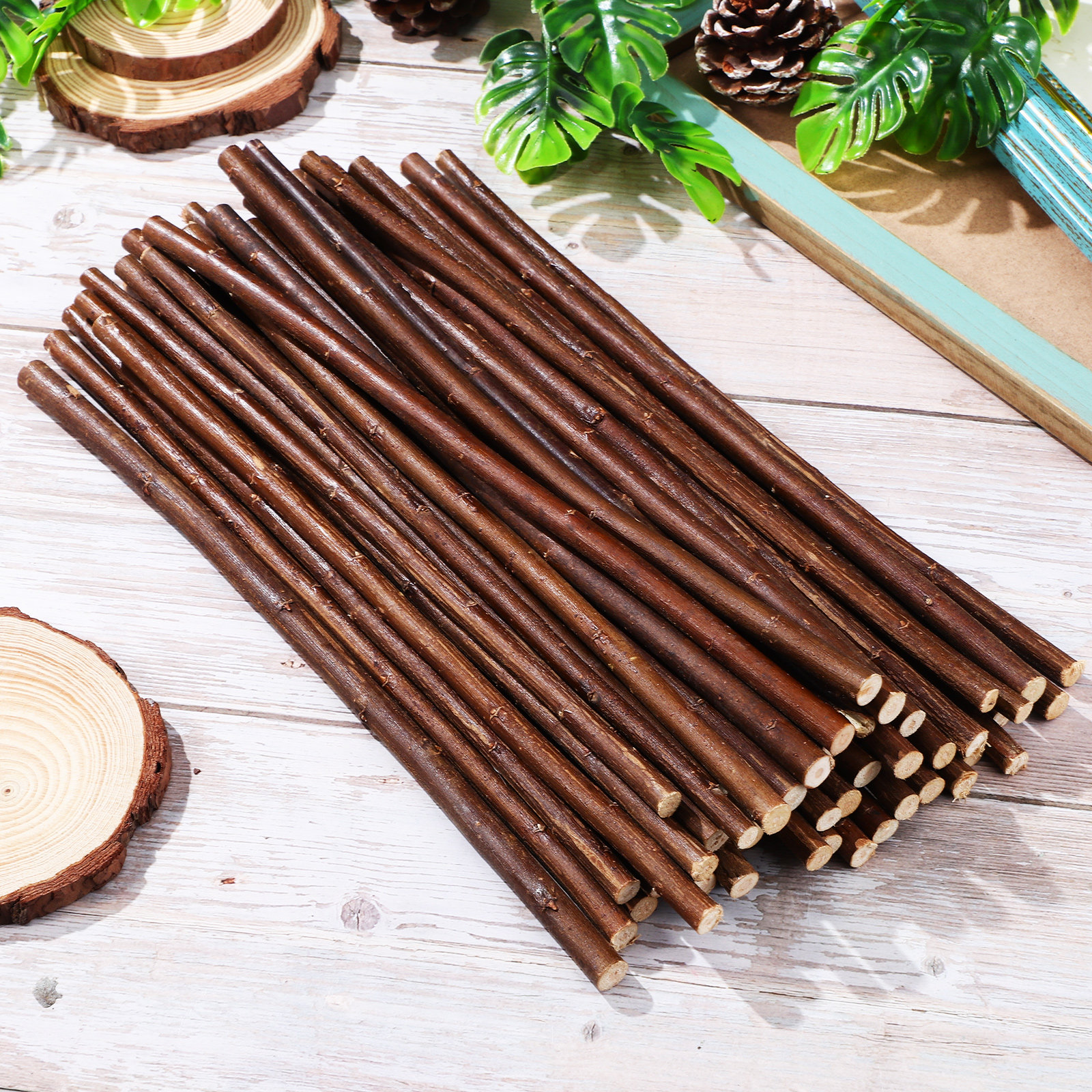 50Pcs Natural Dried Branches C - Centerpiece Stick avaliação e preço