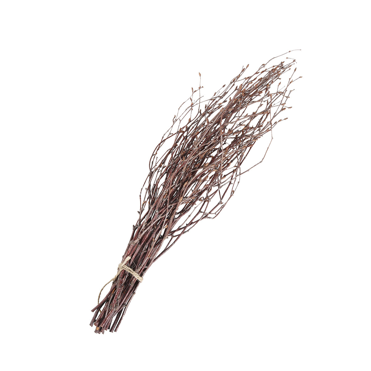 10Pcs 40Cm Birch Branches Real - Centerpiece Stick avaliação e preço