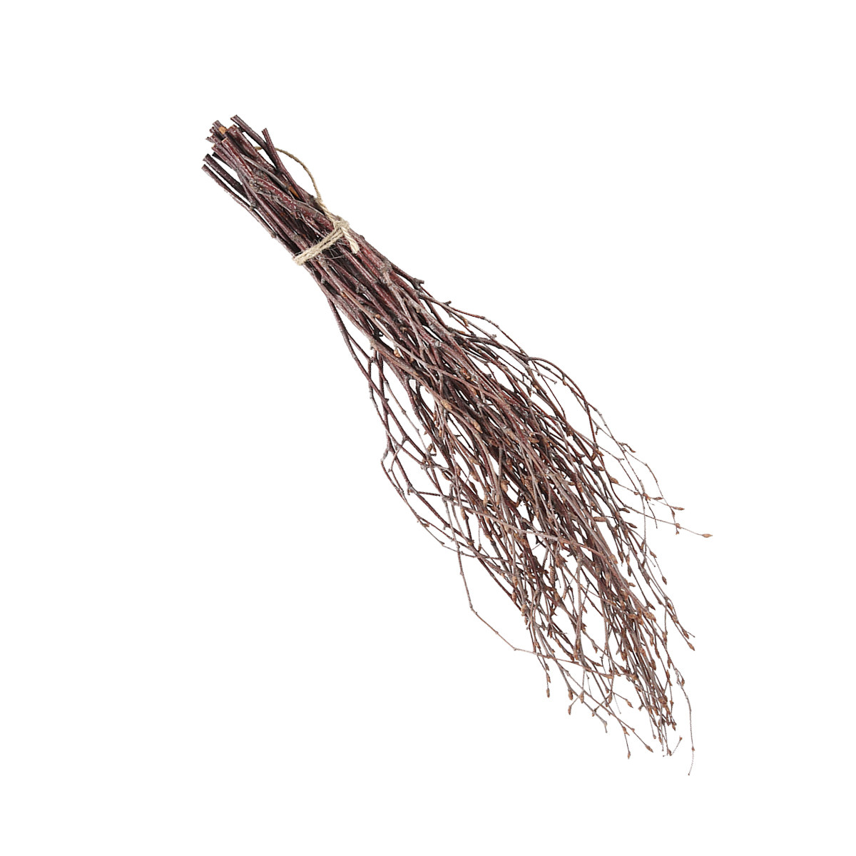 10Pcs 40Cm Birch Branches Real - Centerpiece Stick avaliação e preço
